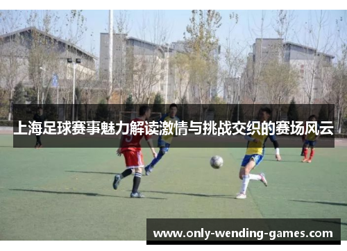 上海足球赛事魅力解读激情与挑战交织的赛场风云