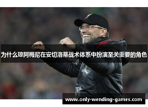 为什么琼阿梅尼在安切洛蒂战术体系中扮演至关重要的角色