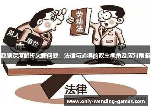 赵鹏深度解析欠薪问题：法律与道德的双重视角及应对策略