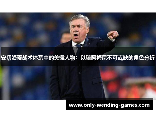 安切洛蒂战术体系中的关键人物：以琼阿梅尼不可或缺的角色分析