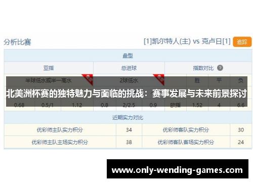 北美洲杯赛的独特魅力与面临的挑战：赛事发展与未来前景探讨