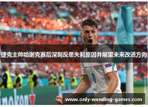捷克主帅哈谢克赛后深刻反思失利原因并展望未来改进方向