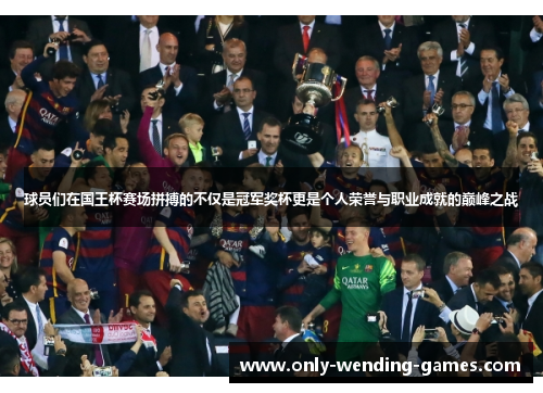 球员们在国王杯赛场拼搏的不仅是冠军奖杯更是个人荣誉与职业成就的巅峰之战