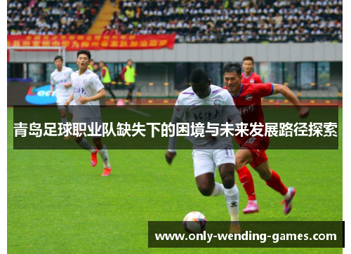 青岛足球职业队缺失下的困境与未来发展路径探索